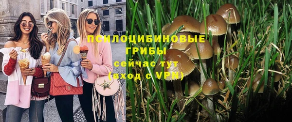 spice Белокуриха