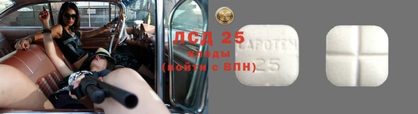 прущие грибы Белоозёрский