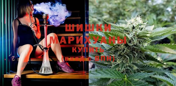 ALPHA PVP Богородицк