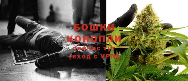 прущие грибы Белоозёрский