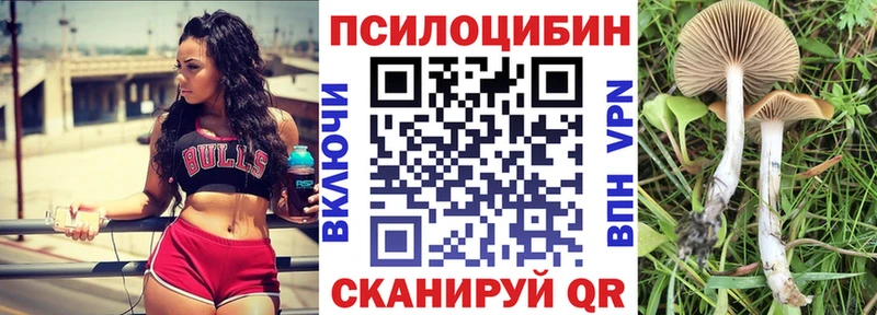 Псилоцибиновые грибы MAGIC MUSHROOMS Обь